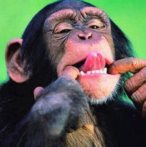 Meet your Posher, Jaden